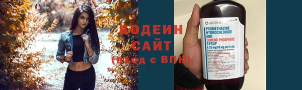 спиды Ладушкин