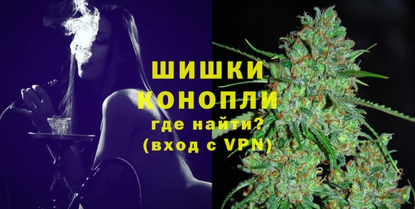 спиды Ладушкин