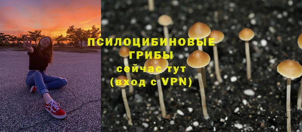 спиды Ладушкин