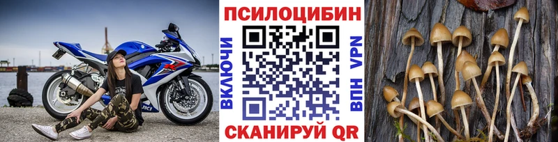 Псилоцибиновые грибы ЛСД  где найти наркотики  Щигры 